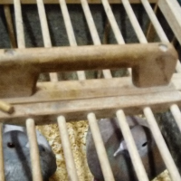 744653285img20151016075418[1]